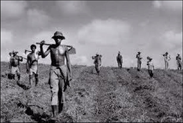 FIGURA-2-Fotografia-de-trabalhadores-nordestinos-Sebastiao-Salgado Morre Sebastião Salgado, o fotógrafo da dignidade humana